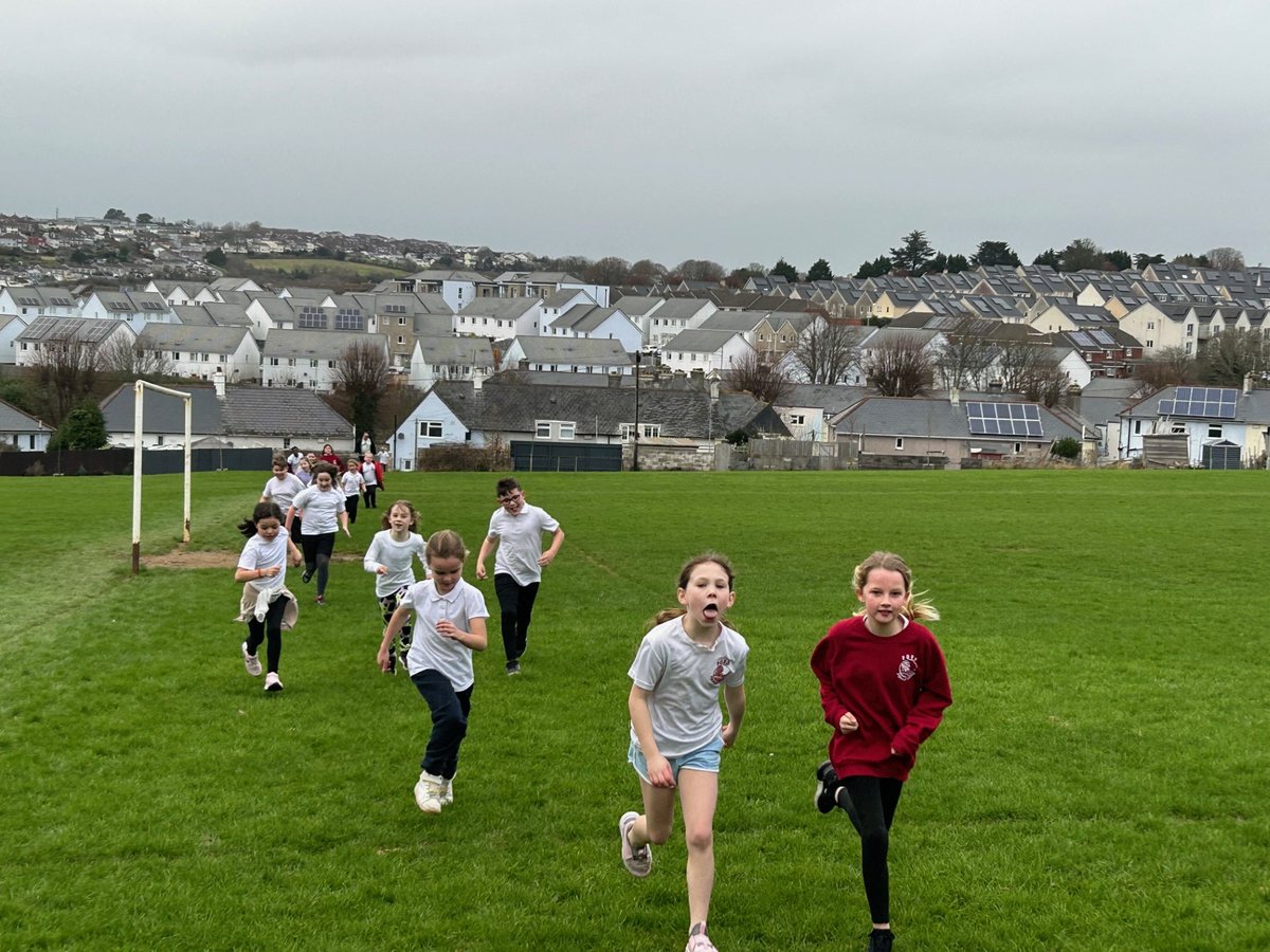 Ford Primary School tweet media