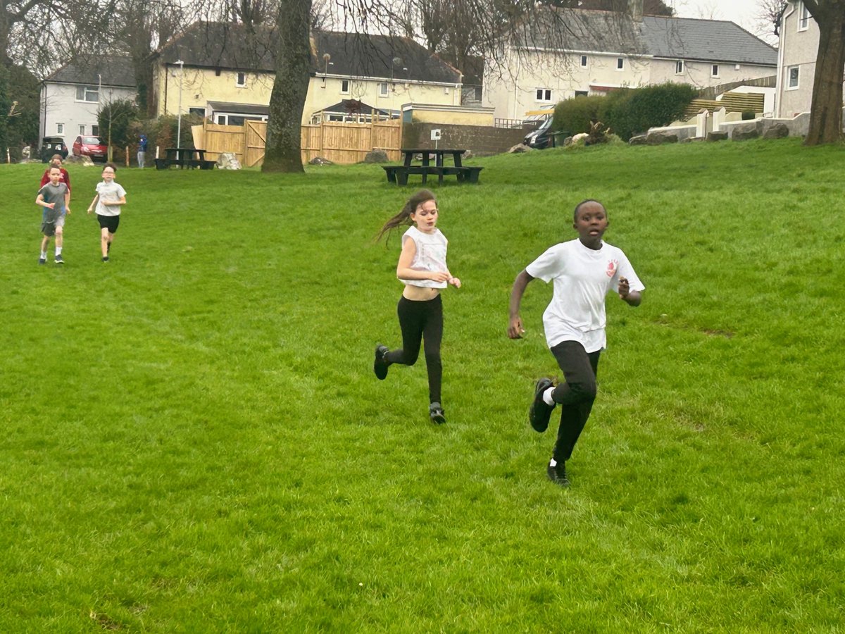 Ford Primary School tweet media