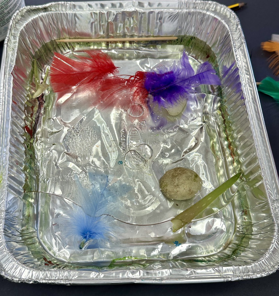 Inclusion | Dubai British School tweet media