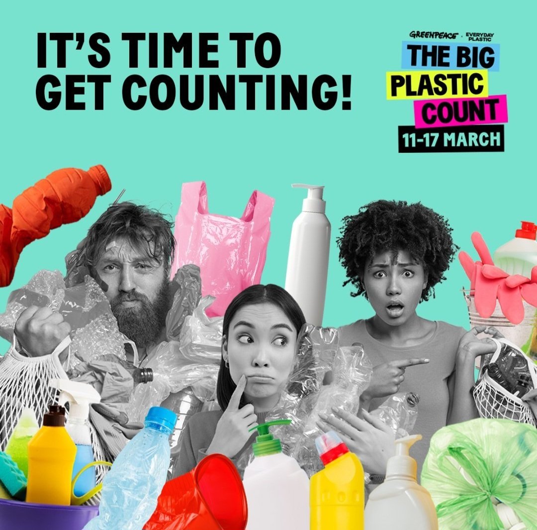 Kittylitterpicker 🏴󠁧󠁢󠁷󠁬󠁳󠁿 tweet media