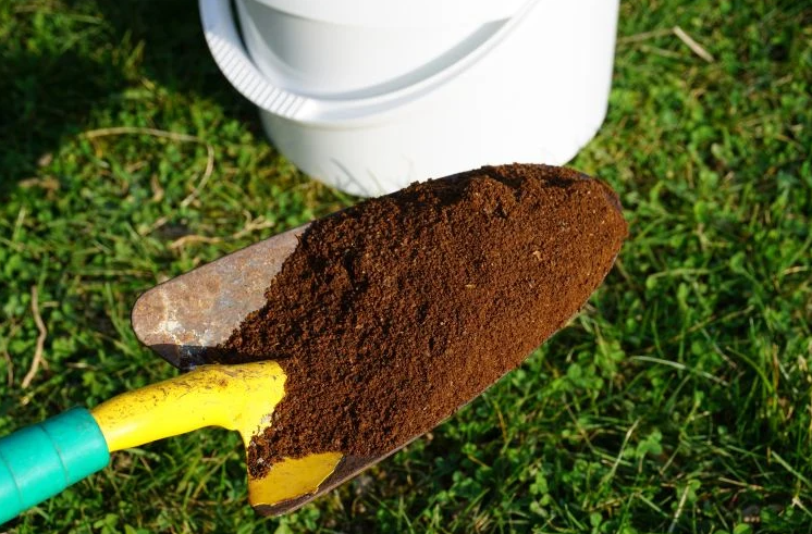 deavitacom's tweet photo. Wie Kaffeesatz gegen #Moos im #Rasen verwenden? So gehen Sie richtig vor
https://t.co/S8yRKFBN9l https://t.co/O4pie9hGXU