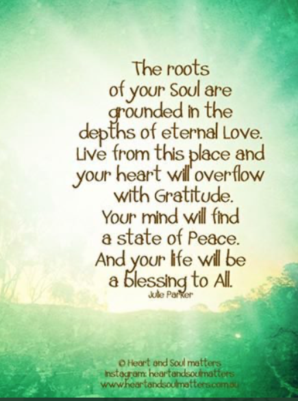 #roots #yoursoul #grounded #eternallove #thisplace #yourheart #gratitude #yourmind #stateofpeace #yourlife #blessing #payitforward