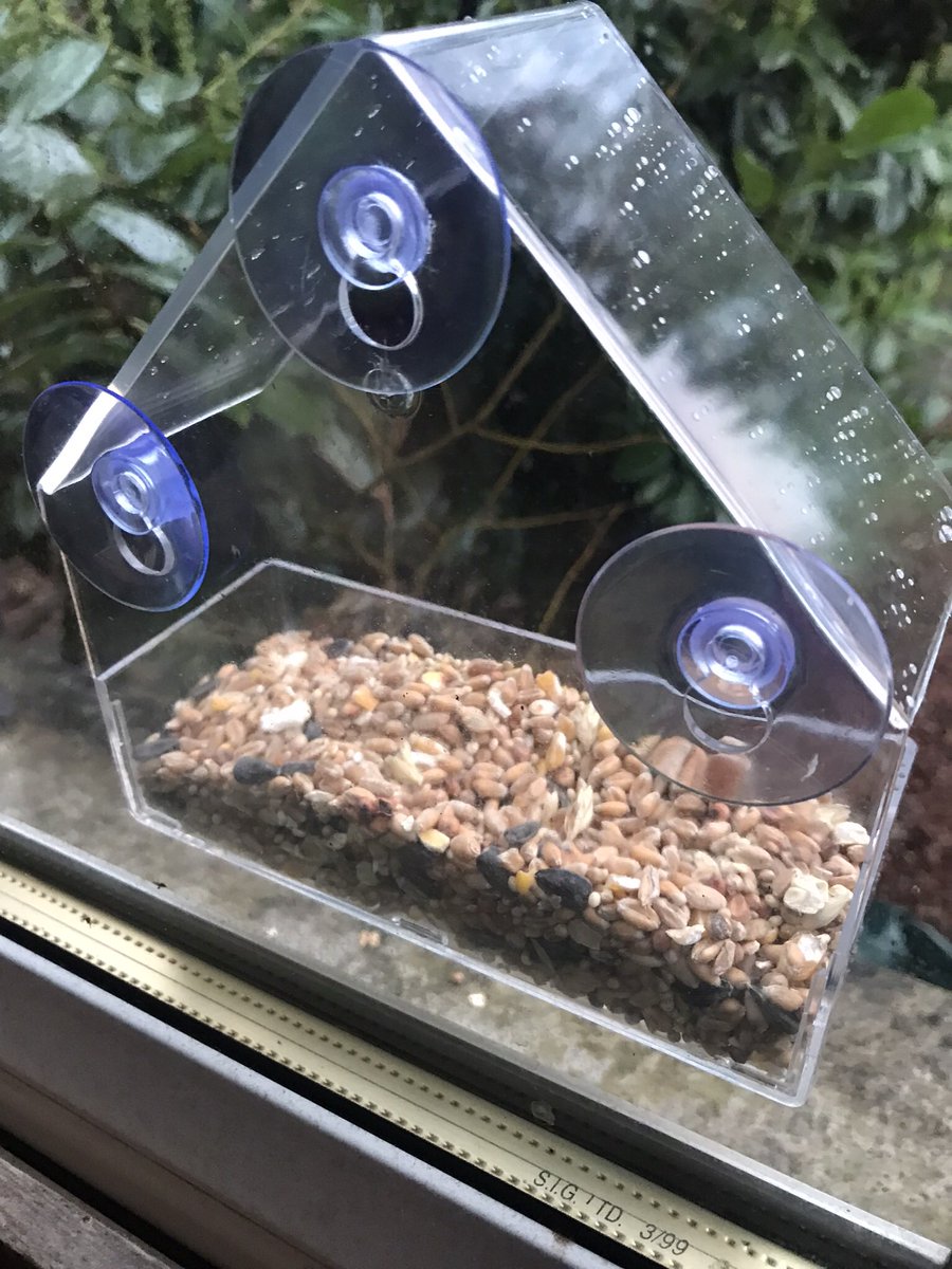 Sharon Oakley tweet media