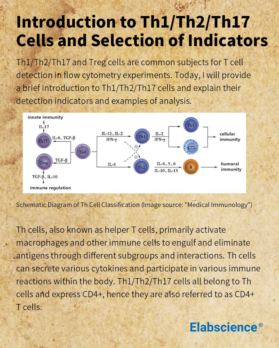Elabscience_bio's tweet image. Explore Th1/Th2/Th17 cell detection methods using cytokines in flow cytometry.  

🔥 Welcome to follow our LinkedIn Column 【Flow Cytometry Guide】for more articles about flow cytometry here： 👇 👇 👇 linkedin.com/newsletters/fl…

#celldetection #cytokines #flowcytometry
