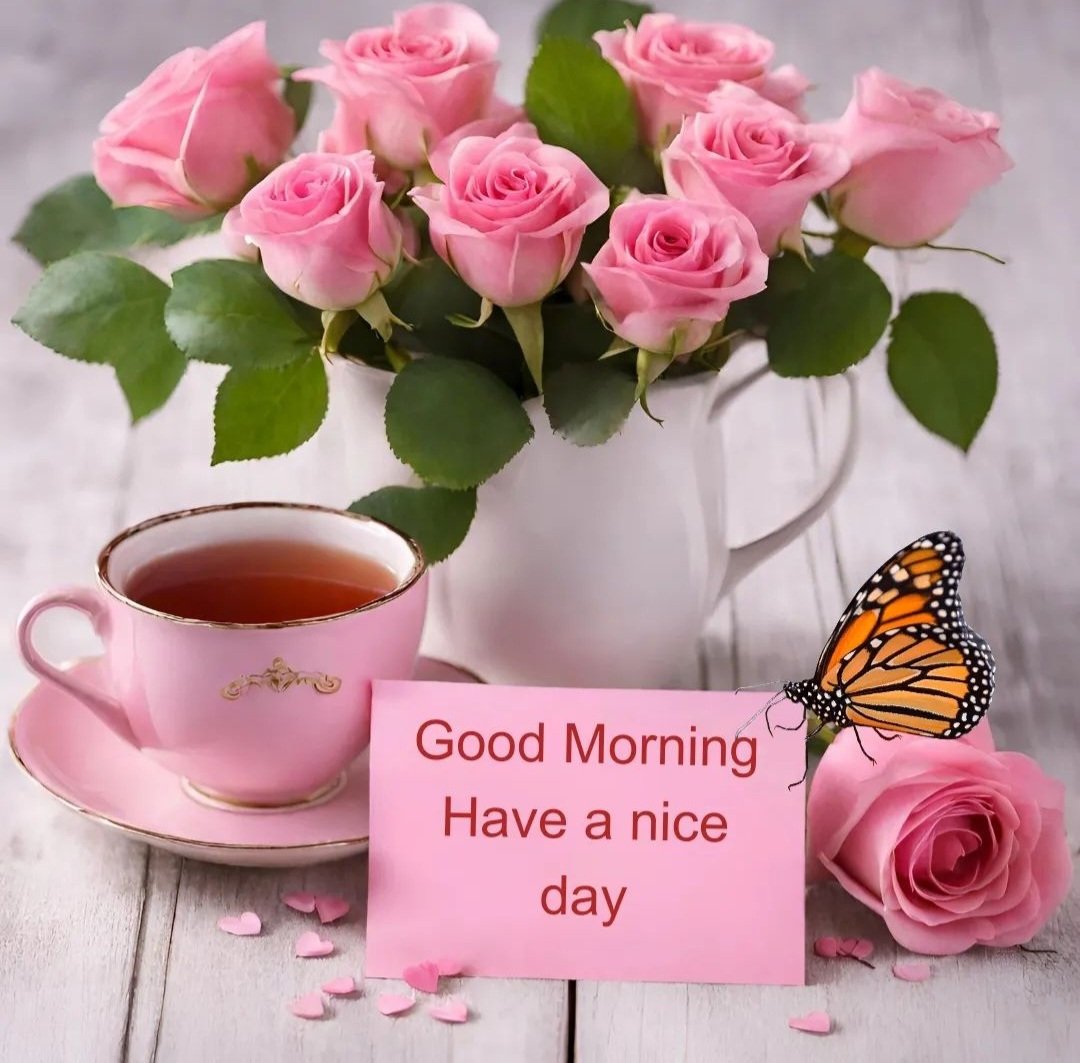 🐾🌷🐕.Chelle.🐕🌷🐾 tweet media