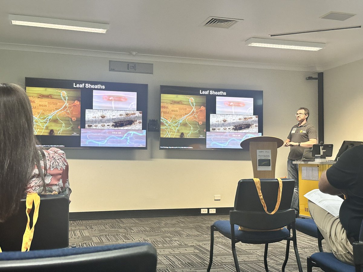 Krishna Chaitanya Alamuru tweet media