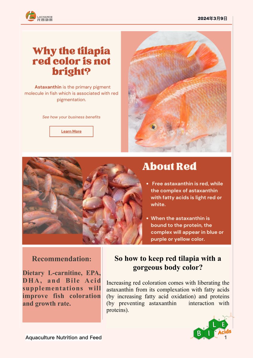 What affects fish color? do you want to make your fish bright?##Tilapia #Diet #bodycolor #bileacid#Astaxanthin#Red#L-carnitine#EPA#DHA What affects fish color? do you want to make your fish bright?##Tilapia #Diet #bodycolor #bileacid#Astaxanthin#Red#L-carnitine#EPA#DHA