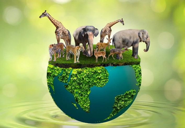 WithLearn48274's tweet photo. World Animal Welfare Day क्यों मनाया ज���ता है, जानें इतिहास
👇👇
https://t.co/C4TfXrBPd6

#Oppenheimer #AnimalWelfare #RajatDalal #IStandWithManojTomar #NoVoteToMamata #Anjalians @peta @ASPCA #MissWorld2024 @AnimalPlanet @MoveTheWorld #AnimalRights @SnakeBiteFPS @djsnake @UN @WHO https://t.co/O8wwRFCRSa