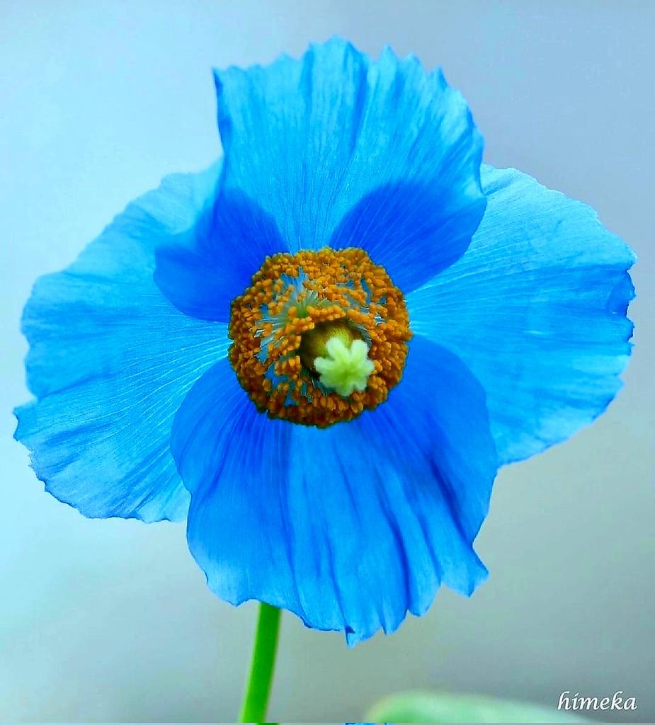 🌼 Good Morning! 🌞

Happy Monday! 💙