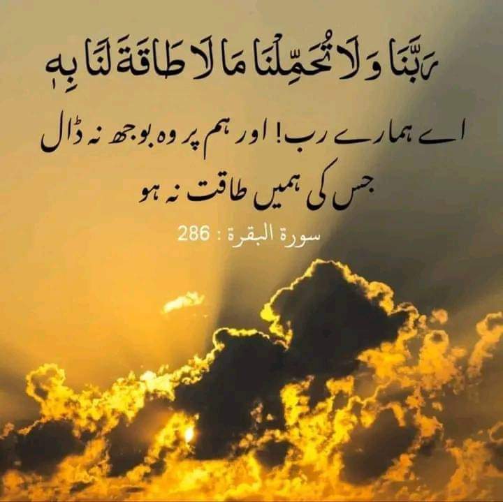 Seerat Sheikh tweet media