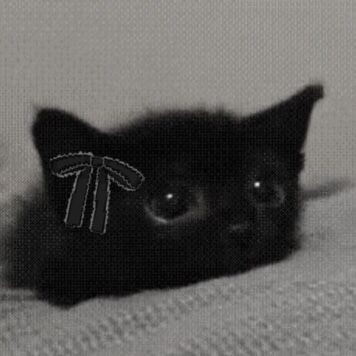 Buenas mis niños!

— Busco mutis en donde me pueda integrar tanto como trajeados, auroners, Lobiños y Gvbs soy nueva. Soy amigable e espero caerles bien, tkm🩷

..
Rt porfís, así lo pueda ver más gente, grx🫶