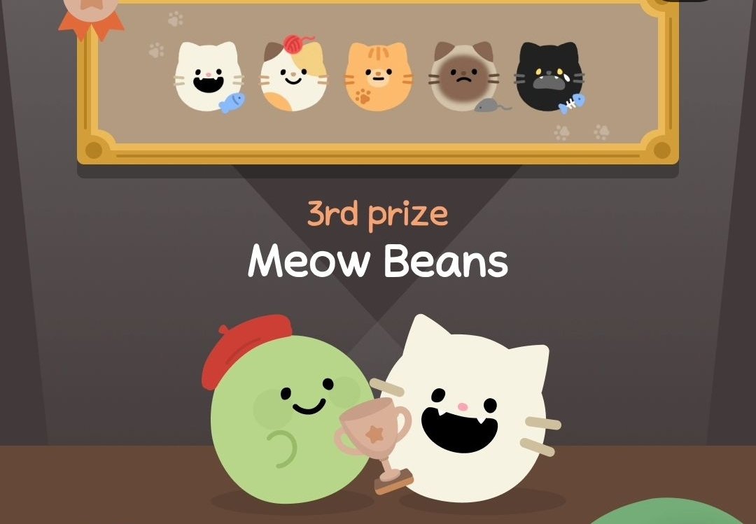 This new theme will be released in April😽