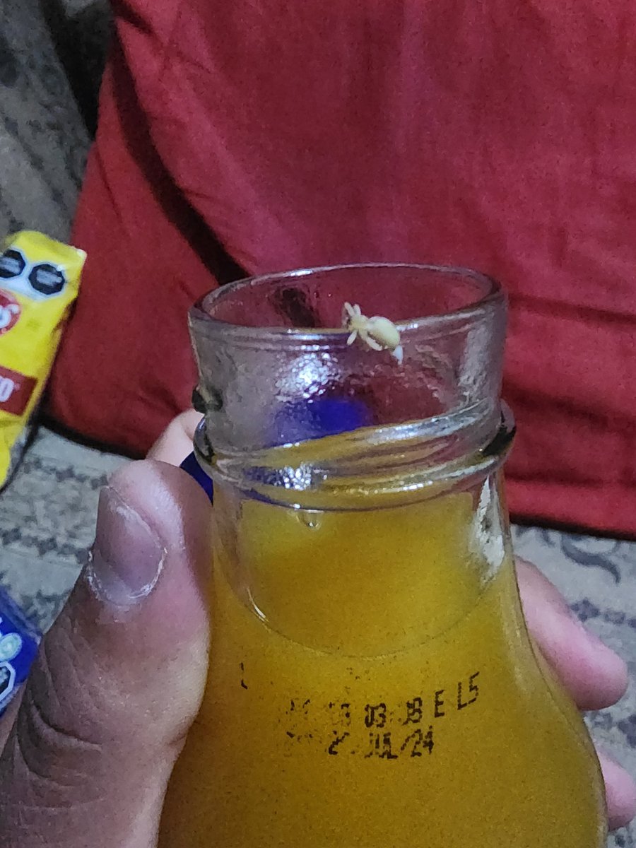 vtr1116294's tweet photo. @OficialJumex Nunca me había ocurrido nada similar, pero parecer ser que una intrusa se quedó estancada a la hora de ser sellado https://t.co/85CouW2M0T