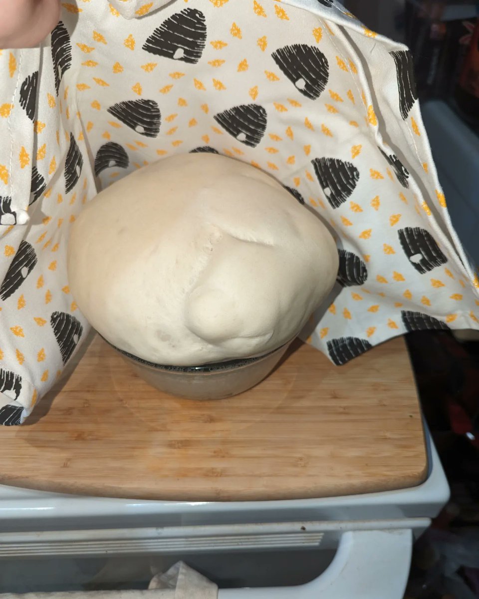 Princess__Fiona's tweet image. Day 70 of #100DaysOfHappy 

Cozy Sunday ☺️

I spent the morning reading in bed, and then did some meal prep, and made some homemade naan and a loaf of bread. If anyone has figured out the trick to making the bread and then not eating it all, I would love to know 😂