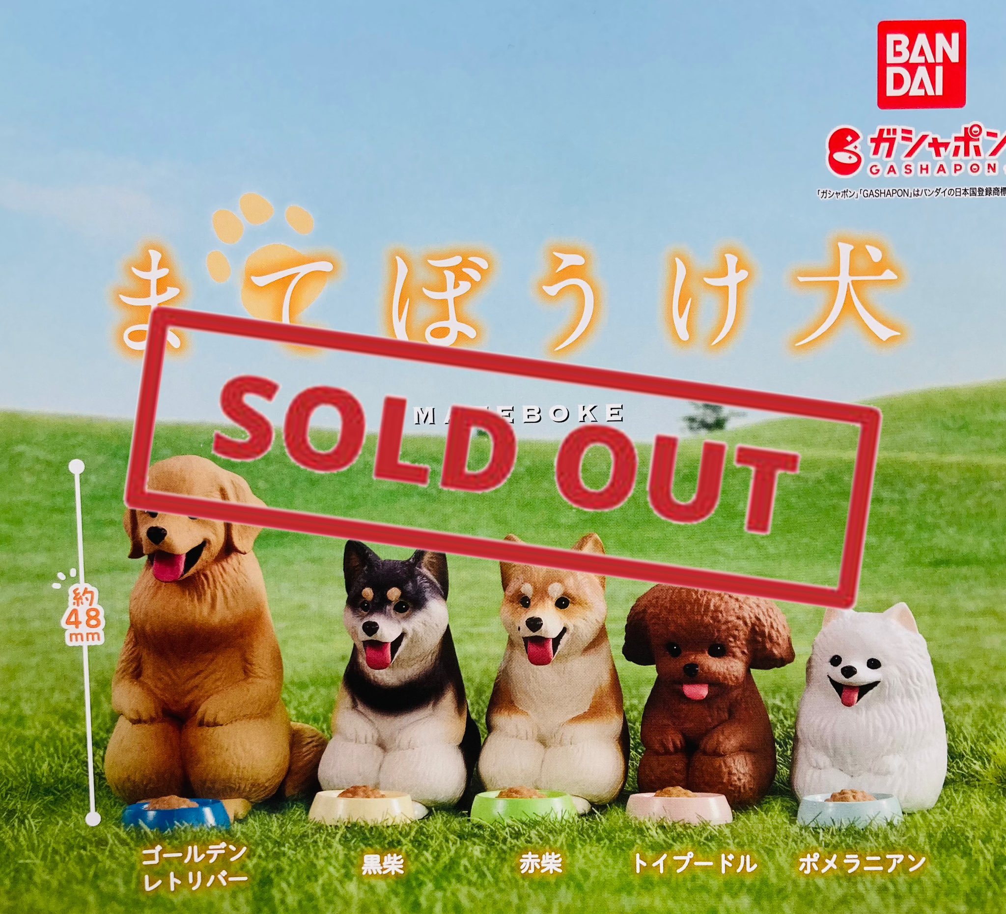 ノリーズFUKAFUKA 青蛙 ノリーズFUKAFUKA 青蛙 TROUT ZX | PRODUCTS | trout nories