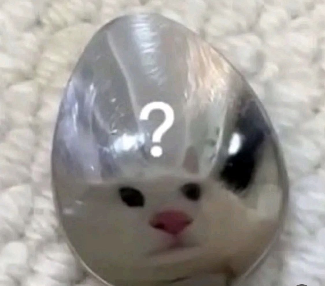 Miranda Parkin tweet media