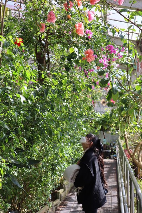 Twitterのコスプレ画像35