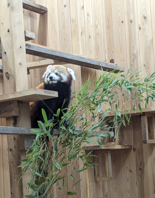 Twitterのコスプレ画像36