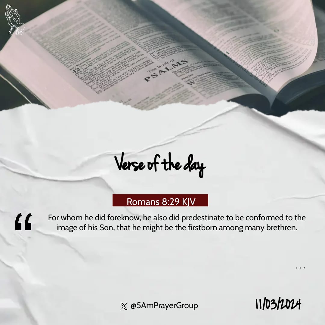 Even from the account of eternity there was already a submission from the son’s point of view that the one who is the leader and authorizer is the father and the son comes to obey the father’s commandment.

#5AMPrayerGroup 
#Sonship