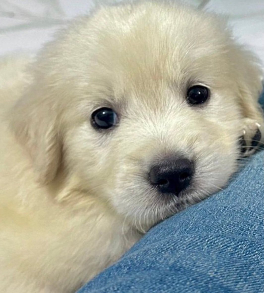 เบบี๋เค้าเบื่อวานจานนน