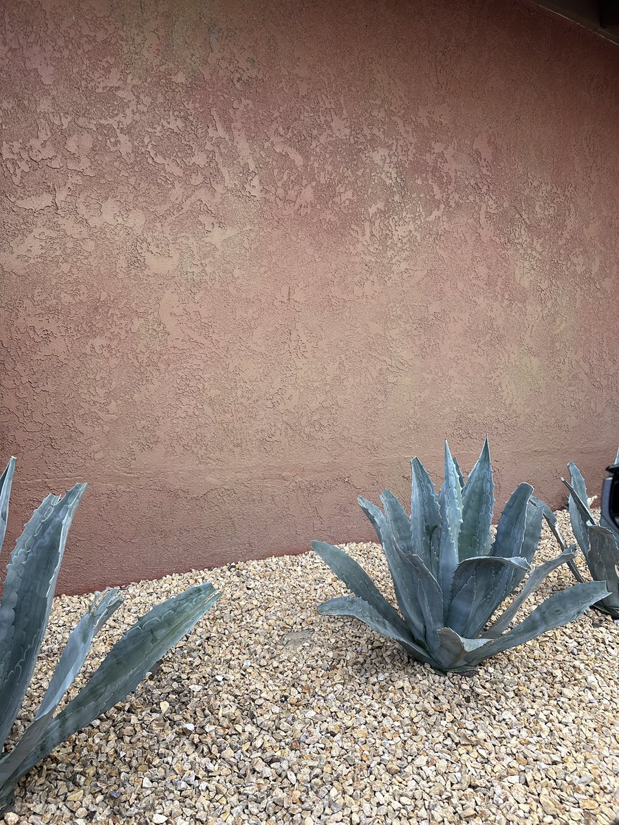 EmmanuelJohn_'s tweet photo. I Love Mexico 🇲🇽 

Unfortunately this is just the drive through of El Pollo Loco 🤪 

So authentic I forget where Im at.  Nice decor! #humor #foodie #mexico 

@ElPolloLoco https://t.co/Sf8VZddJSD