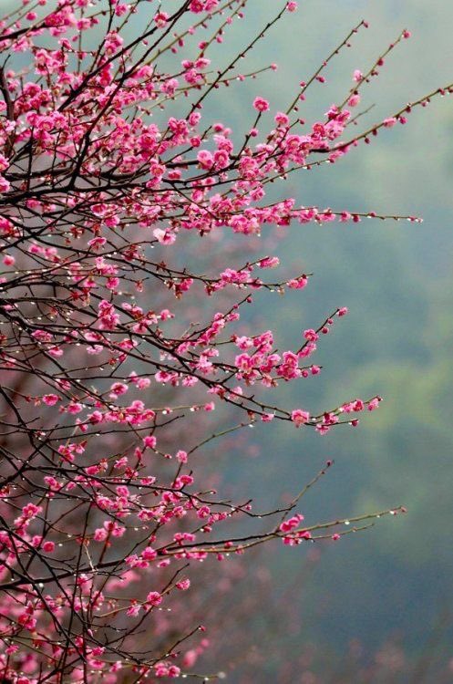 Good morning 🌅 everyone