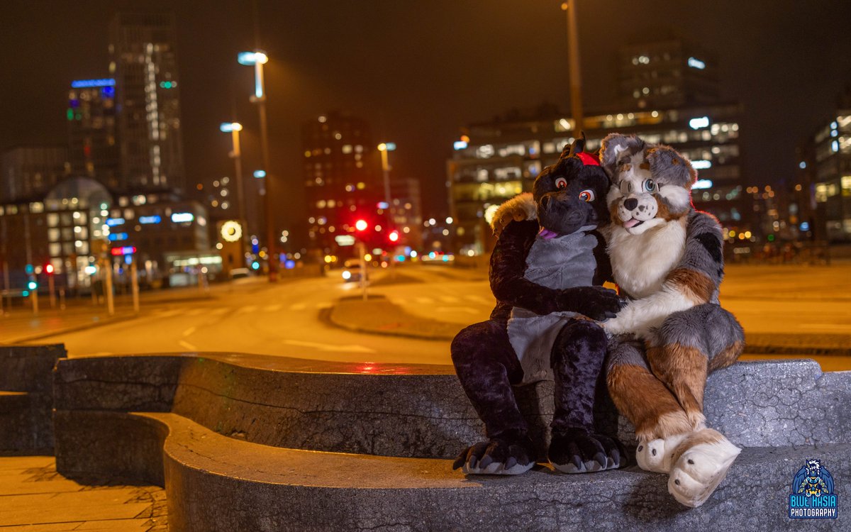 Bluehasia's tweet photo. 🐲❤️🐶

🐲 @DevalDragon 
🐶 @OmegaPi69 https://t.co/oKU8Z7IxSt