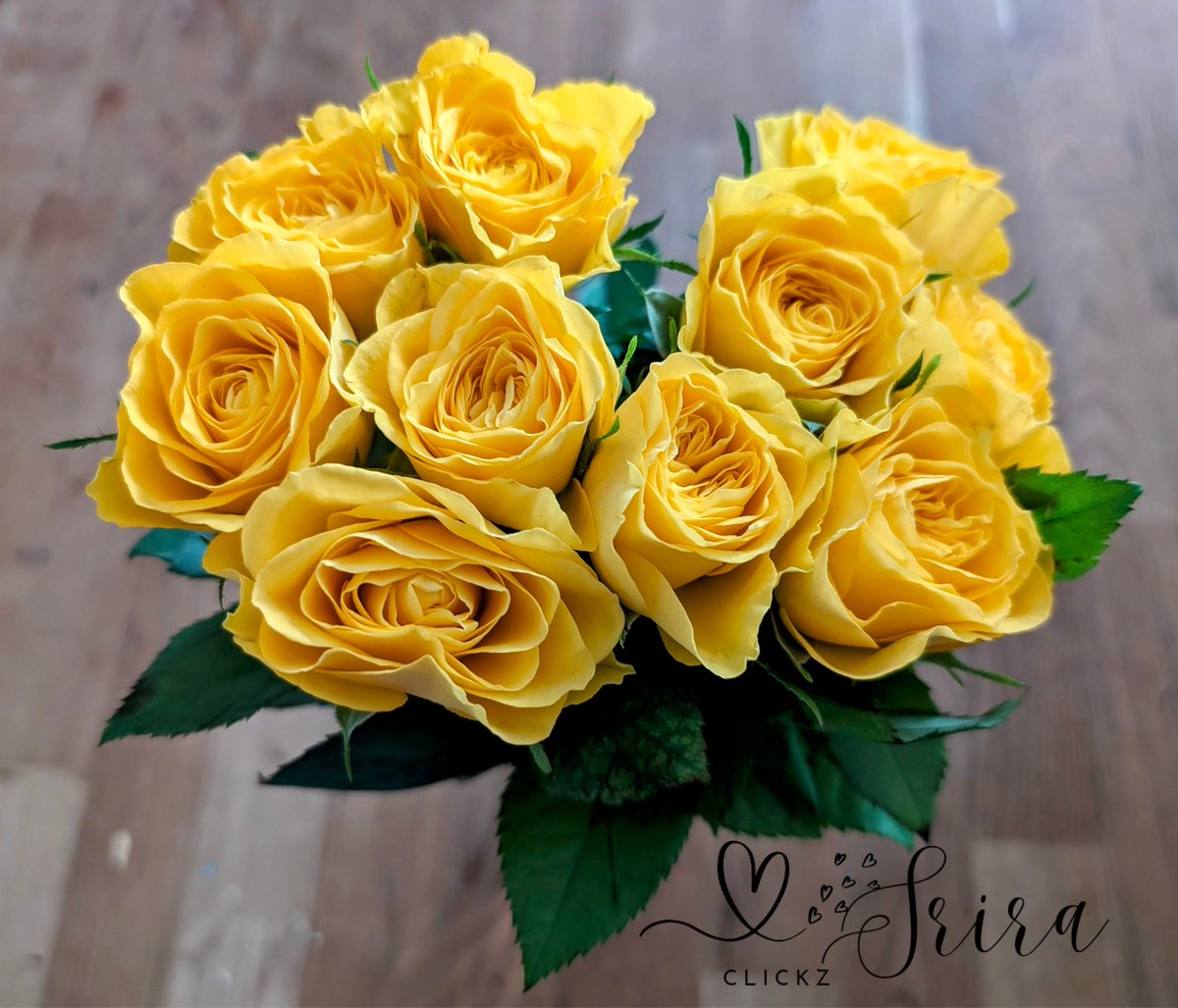 sri_aru's tweet photo. "A warm smile is the universal language of kindness.β β William Arthur Ward
Have a good start to the week.
Stay safe and healthy and happy.
#weekbegins #mondaymotivation #roses #flowerpower #flowergram #photooftheday #shotonpixel8 #photography #hobby #srira_clickz https://t.co/otXkUFHN27