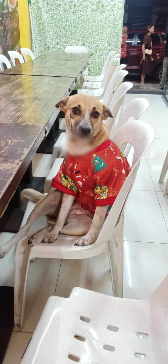 Patay ang isang aso matapos pagsasaksakin ng Korean national sa Malate, Maynila nitong Sabado.

Ayon sa pulisya, naunang nakagat ng ibang aso ang Koreano at posibleng napagbalingan ng galit ang napatay na aso at iba pang alaga na sinasaksak din nito sa daan. |via Karen de Guzman,