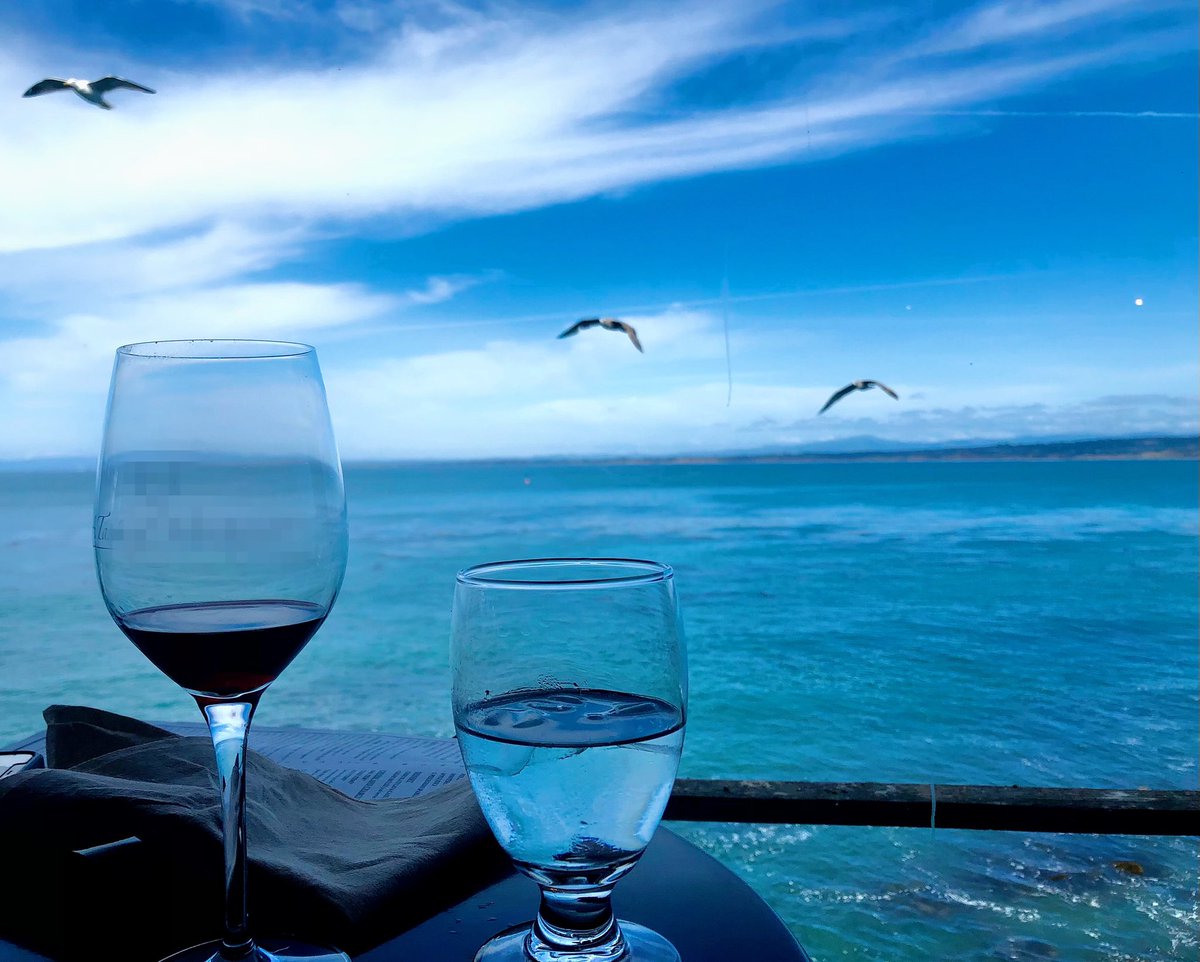 Meditating on the healing power of nature and the beauty of our surroundings. A gorgeous Sunday with sun, sea, and seagulls. #nourishyoursoul #choosejoy #seekbeauty #grateful #joyfulleaders