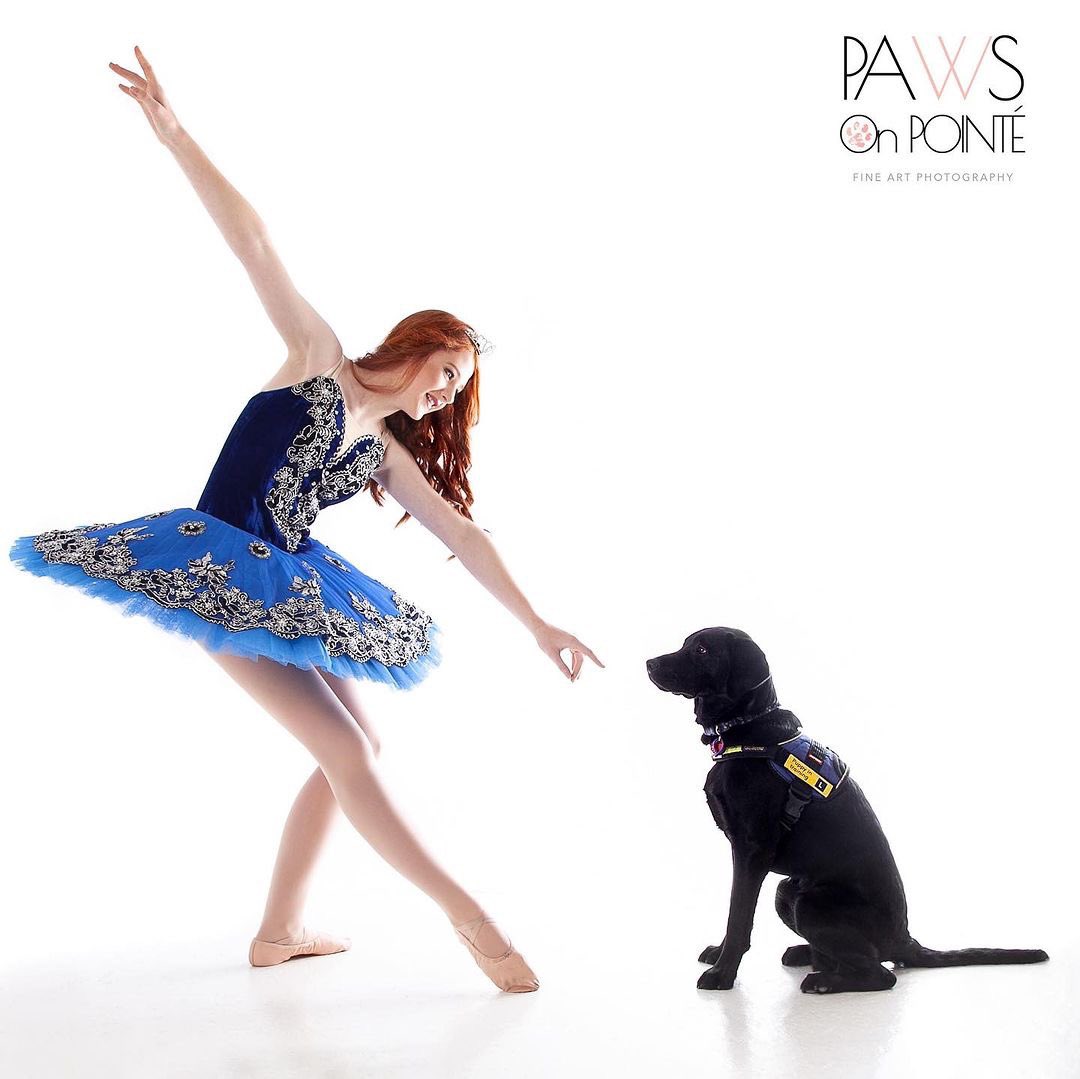 Happy new week 
Don’t let yesterday take up too much of today! 
 
Dancers Love Dogs 

Vienna &amp; Orion
📸 @pawsonpointephotography