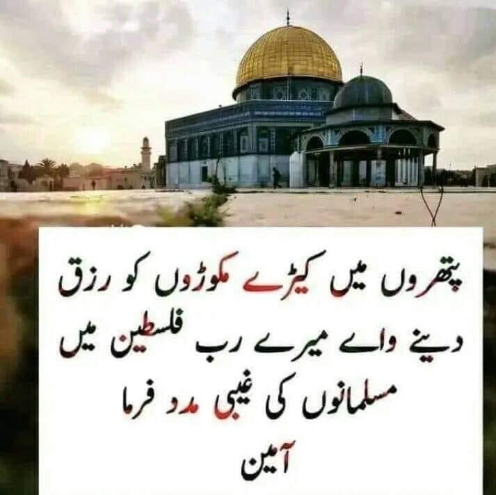 اللہپاک رمضان کے با برکت مہینے میں فلسطین کے مظلوم مسلمانوں پر اپنا کرم فرما۔ آمین 
#FreePalestine