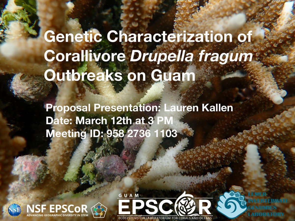🌊 Join us tomorrow via Zoom at 3PM as Lauren Kallen gives her proposal presentation on "Genetic Characterization of Corallivore Drupella fragum Outbreaks on Guam"! 🐚

✨ Use the link below to join! ✨

ow.ly/bnJZ50QPSv3

Meeting ID: 958 2736 1103