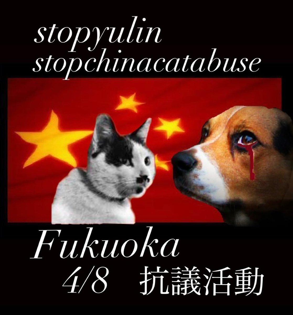 中国政府へ！
ユーリン犬肉祭廃止‼️
動物虐待禁止法の制定を求めます‼️

🌟福岡中国領事館前抗議
　　4月8日(月)12時～

🌟参加ご希望の方は
　@jis_gram(Instagram)迄ご連絡を🙏