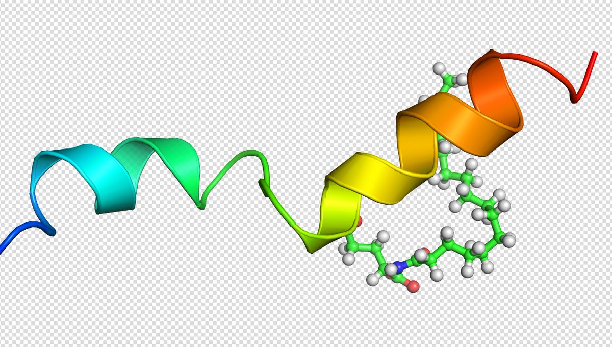SINOPEG1's tweet image. Currently, the most eye-catching drug is the "drug king" GLP-1. GLP-1 happens to address the urgent clinical needs of the present time. This drug, originally used to treat diabetes, is now highly praised as a miraculous weight loss remedy.
#GLP1 #weightloss #excipient