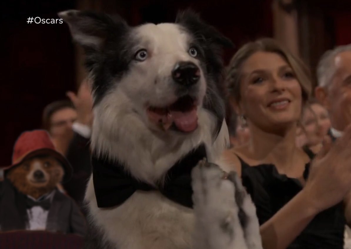 jaythechou's tweet image. I Photoshop Paddington into a movie, game, or TV show until I forget: Day 1097