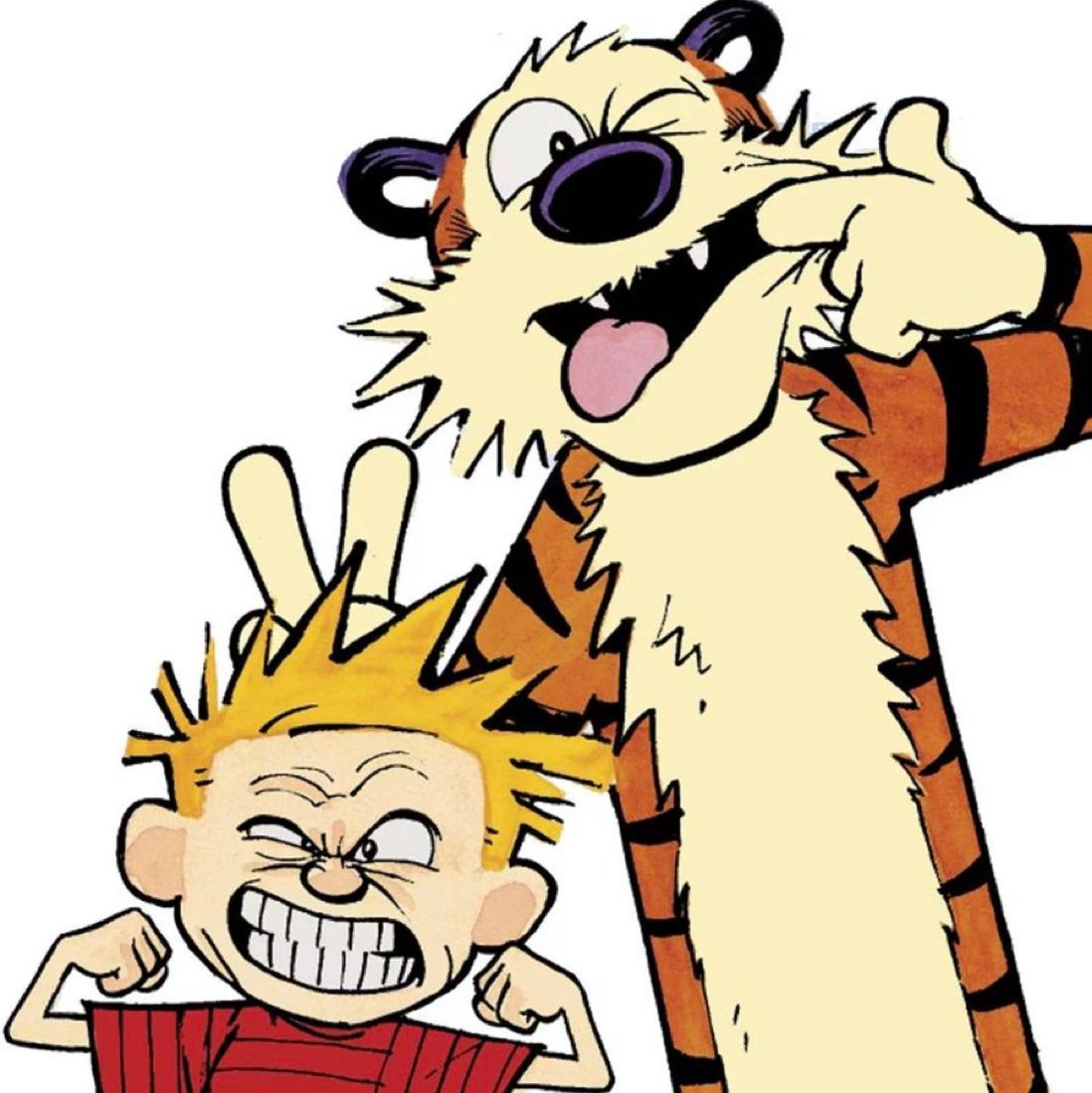 Have a fantastic day today! #CalvinandHobbes #Peanuts