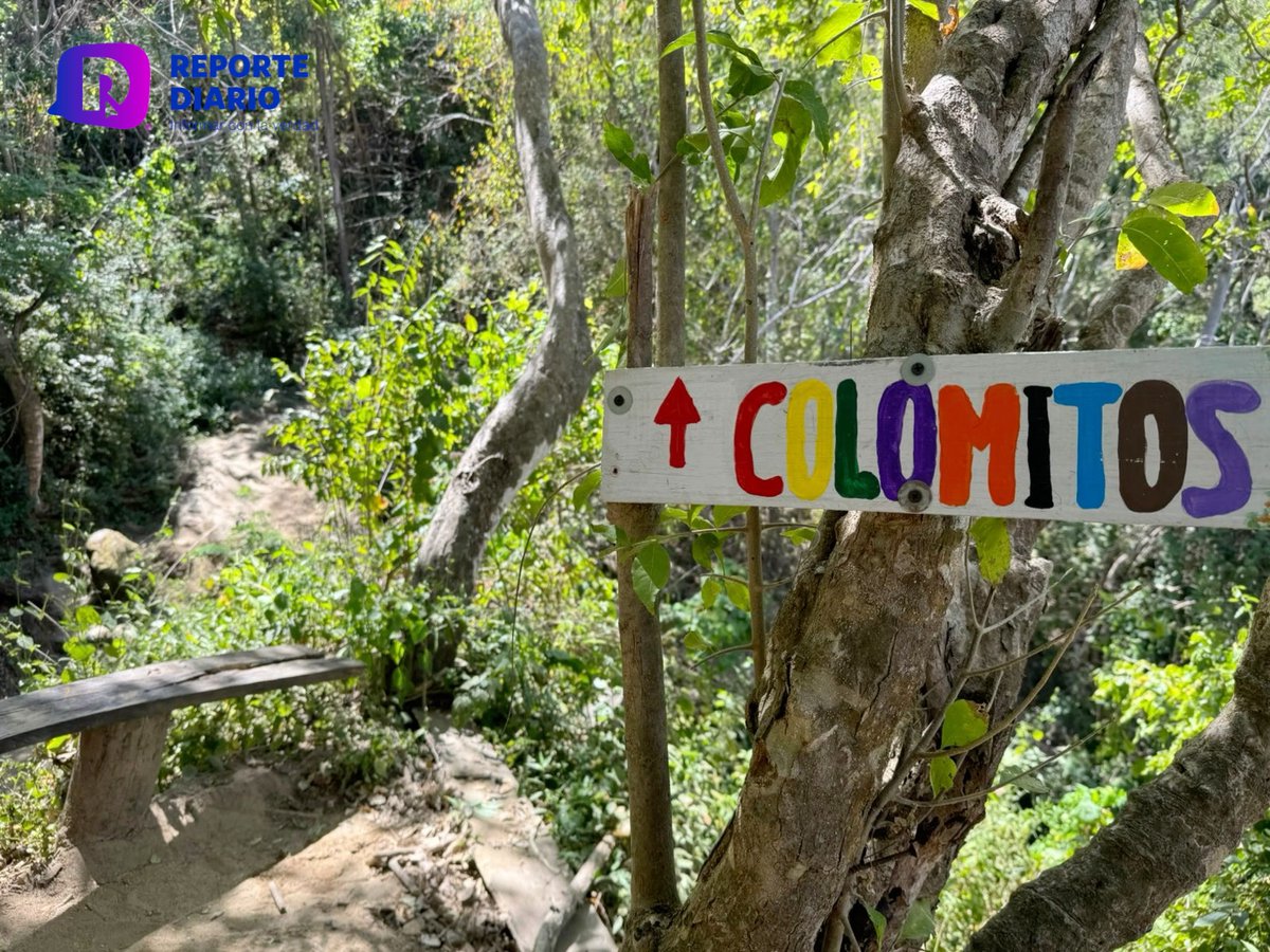 reportediariopv's tweet photo. Sendero a Colomitos.
Reúne La Sierra Madre y el Pacífico
Sales de Boca de Tomatlán
Cruzas el río
Paras en miradores para tomar una selfie
Leer nota: https://t.co/s2K6utDFZx
Redacción: César Langarica
#Hoy #Colomitos #PuertoVallarta #destinoturistico #Sendero https://t.co/ArvgFFOsRF