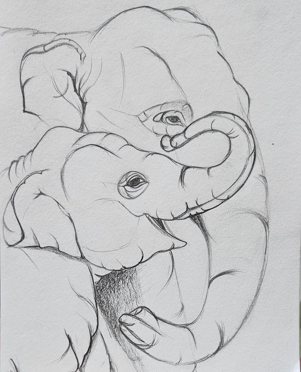 sampratishta's tweet image. Pranjali's #FreehandDesign sketches at the #SketchingFoundation Batch are now taking shape. It's great to witness the progress in 3Dimention.⁠
⁠
Are you also committed to #Sketch daily, just like our dedicated students?⁠
⁠

Join us at #sampratishta, #artschool in #Bangalore