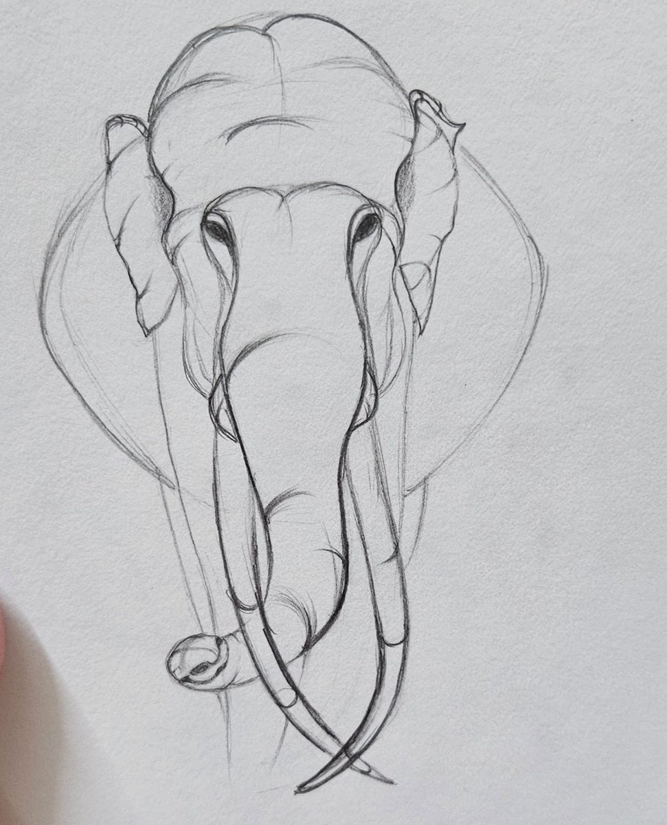 sampratishta's tweet image. Pranjali's #FreehandDesign sketches at the #SketchingFoundation Batch are now taking shape. It's great to witness the progress in 3Dimention.⁠
⁠
Are you also committed to #Sketch daily, just like our dedicated students?⁠
⁠

Join us at #sampratishta, #artschool in #Bangalore