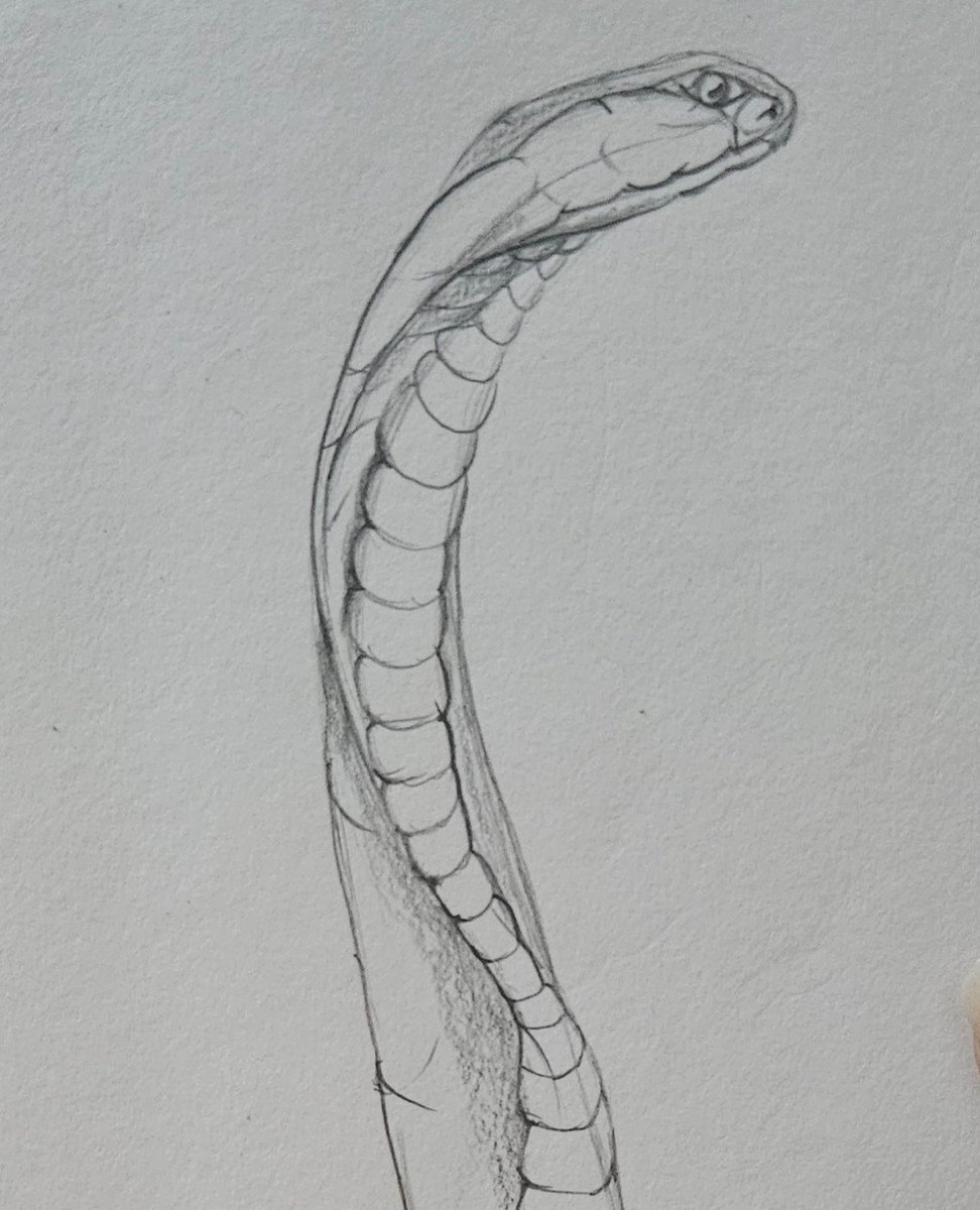 sampratishta's tweet image. Pranjali's #FreehandDesign sketches at the #SketchingFoundation Batch are now taking shape. It's great to witness the progress in 3Dimention.⁠
⁠
Are you also committed to #Sketch daily, just like our dedicated students?⁠
⁠

Join us at #sampratishta, #artschool in #Bangalore