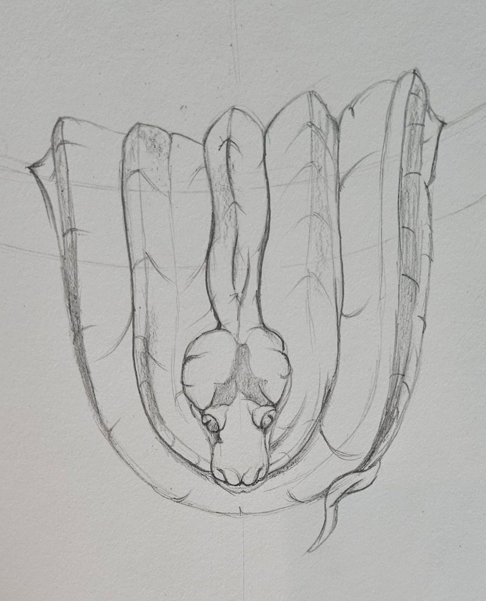 sampratishta's tweet image. Pranjali's #FreehandDesign sketches at the #SketchingFoundation Batch are now taking shape. It's great to witness the progress in 3Dimention.⁠
⁠
Are you also committed to #Sketch daily, just like our dedicated students?⁠
⁠

Join us at #sampratishta, #artschool in #Bangalore