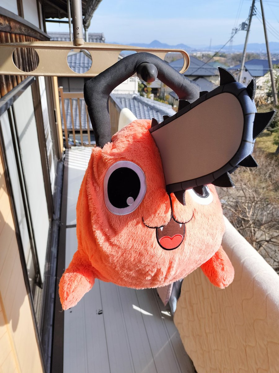 asahigaterasu's tweet photo. 干しポチタ https://t.co/r2kq8okk5e