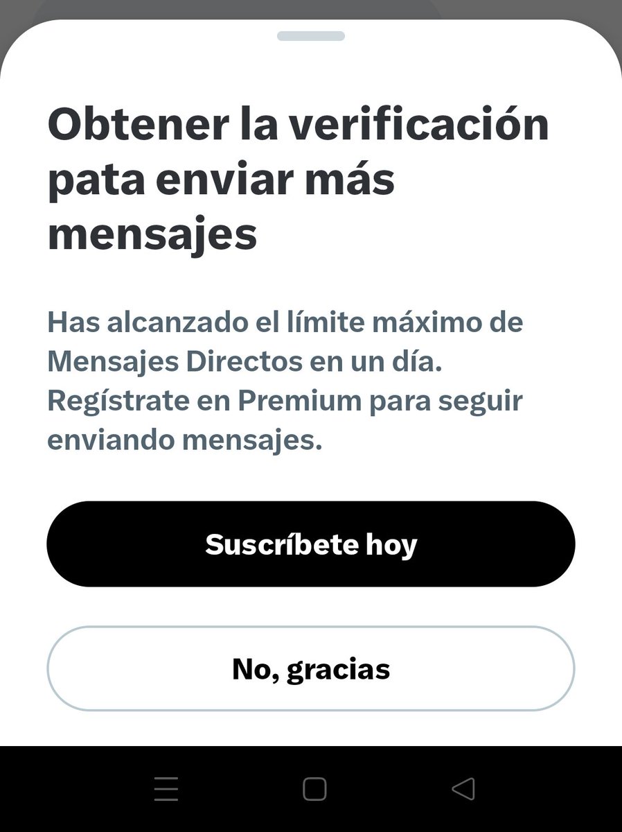 alessa tweet media
