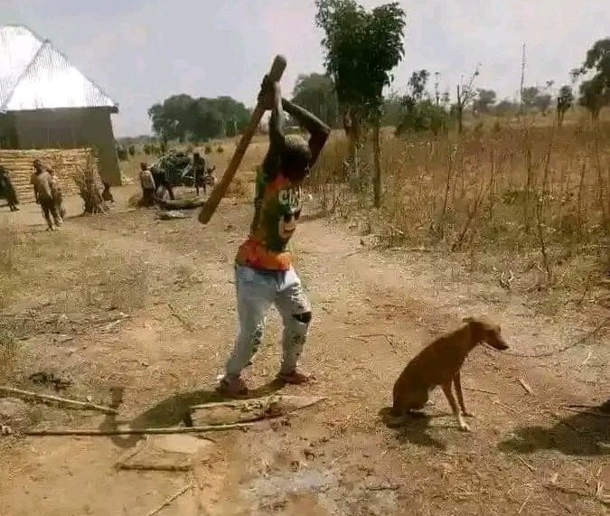 Jinsi mizimu ya ukoo inavyo kushambulia pindi ukianza tu kufanikiwa 😂😂😂