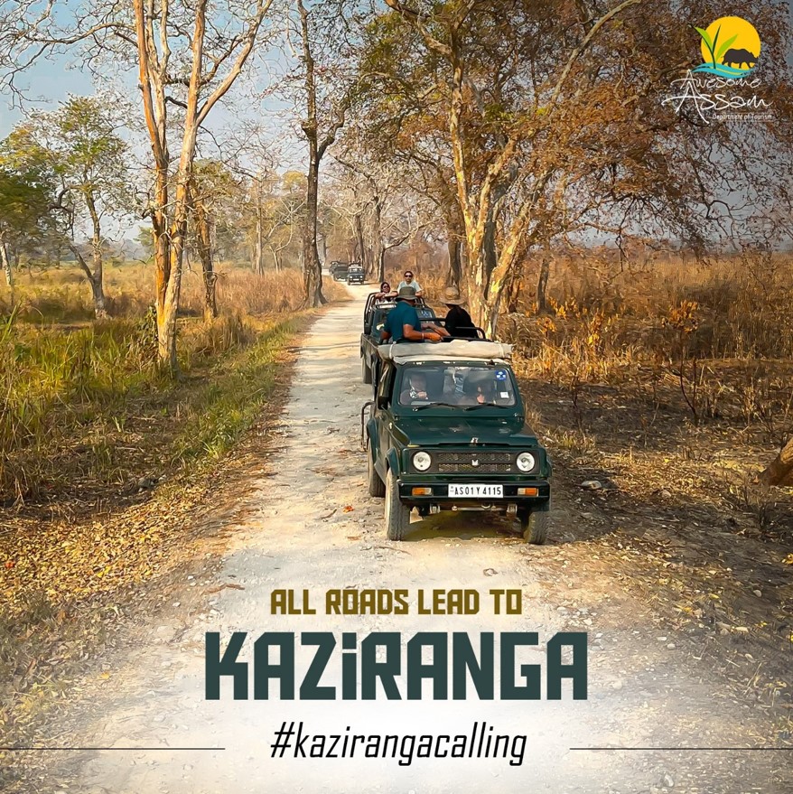 People from all over the world come to Kaziranga National Park every year. Are you one of them?

#AwesomeAssam #KazirangaCalling #KazirangaNationalPark #ElephantSafari #AssamTourism #NationalPark #Wildlife #Nature #UNESCOWorldHeritageSite #HeritageSite #Assam #VisitAssam