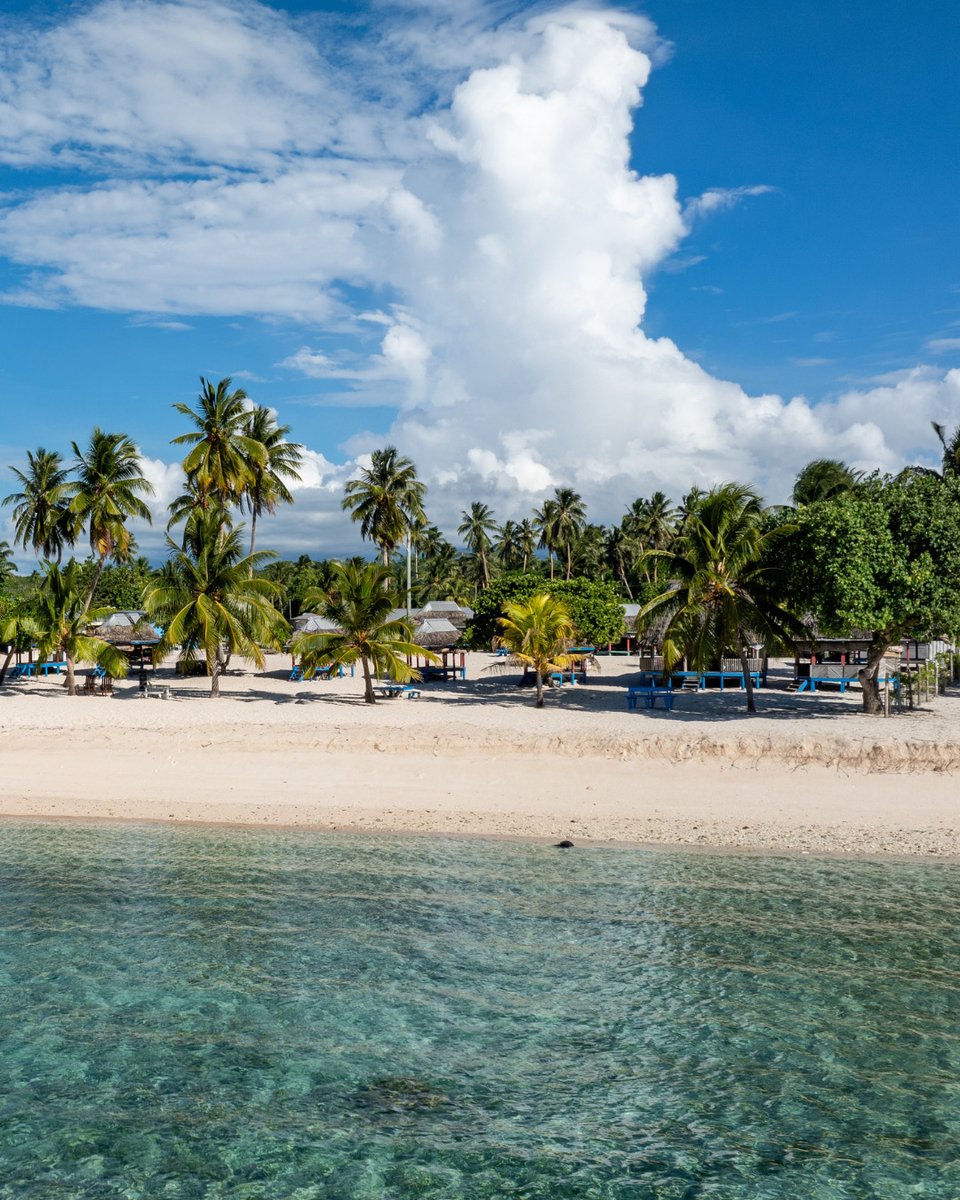 Samoa Tourism tweet media