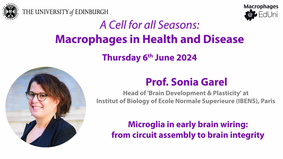 We are delighted that Prof. Sonia Garel will join us in June for our @MacEdiUni annual symposium to discuss the role of #microglia in brain development. Registration and full details 👉 ed.ac.uk/inflammation-r… @EdinUni_IRR @britsocimm @socmucimm @edin_EID @EdinUniBrainSci