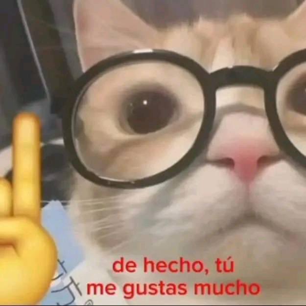 iTumblr147's tweet photo. Demasiado más bien https://t.co/vZlJbRyDGi