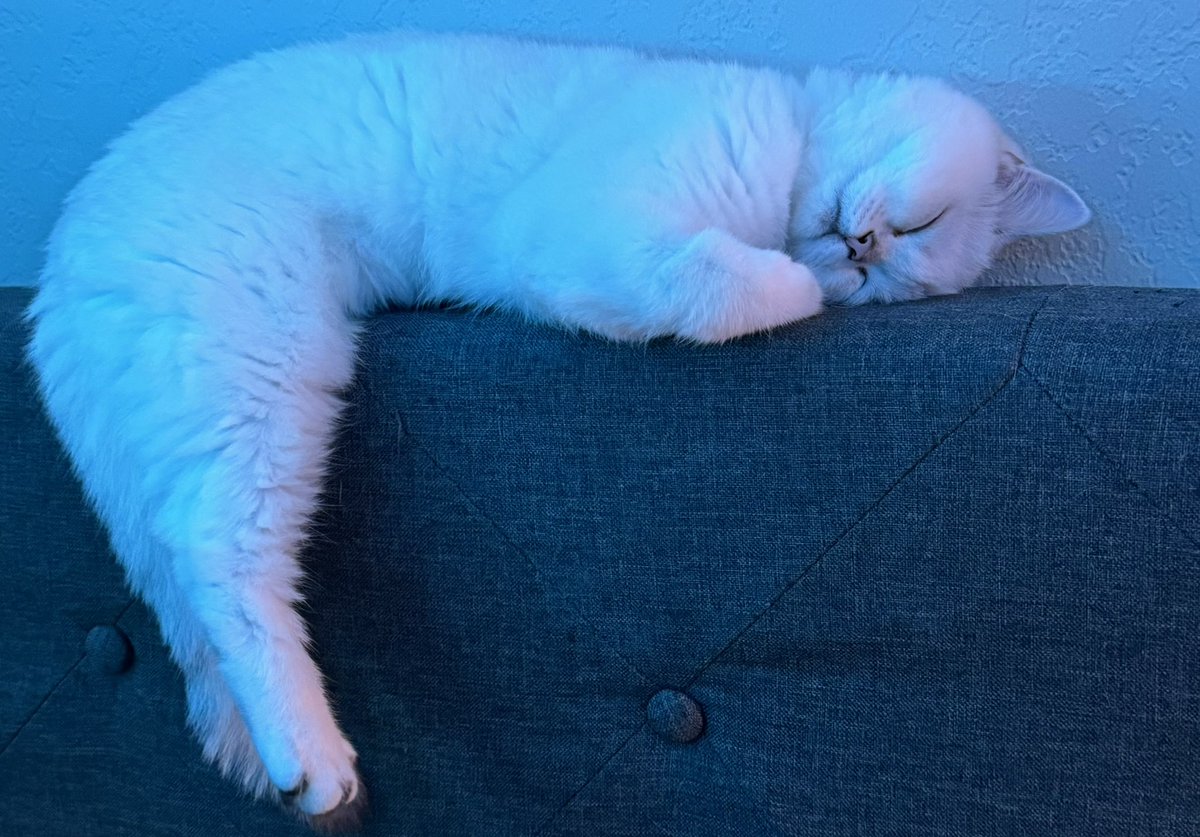 SenzVT's tweet photo. She’s so photogenic even when it’s goofy https://t.co/VY09grryX4